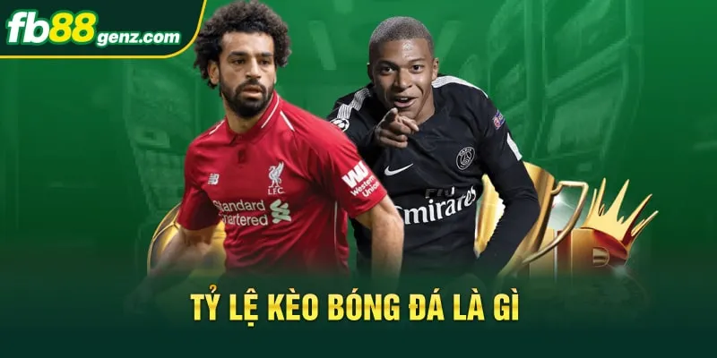 Ty-le-keo-bong-da-la-gi